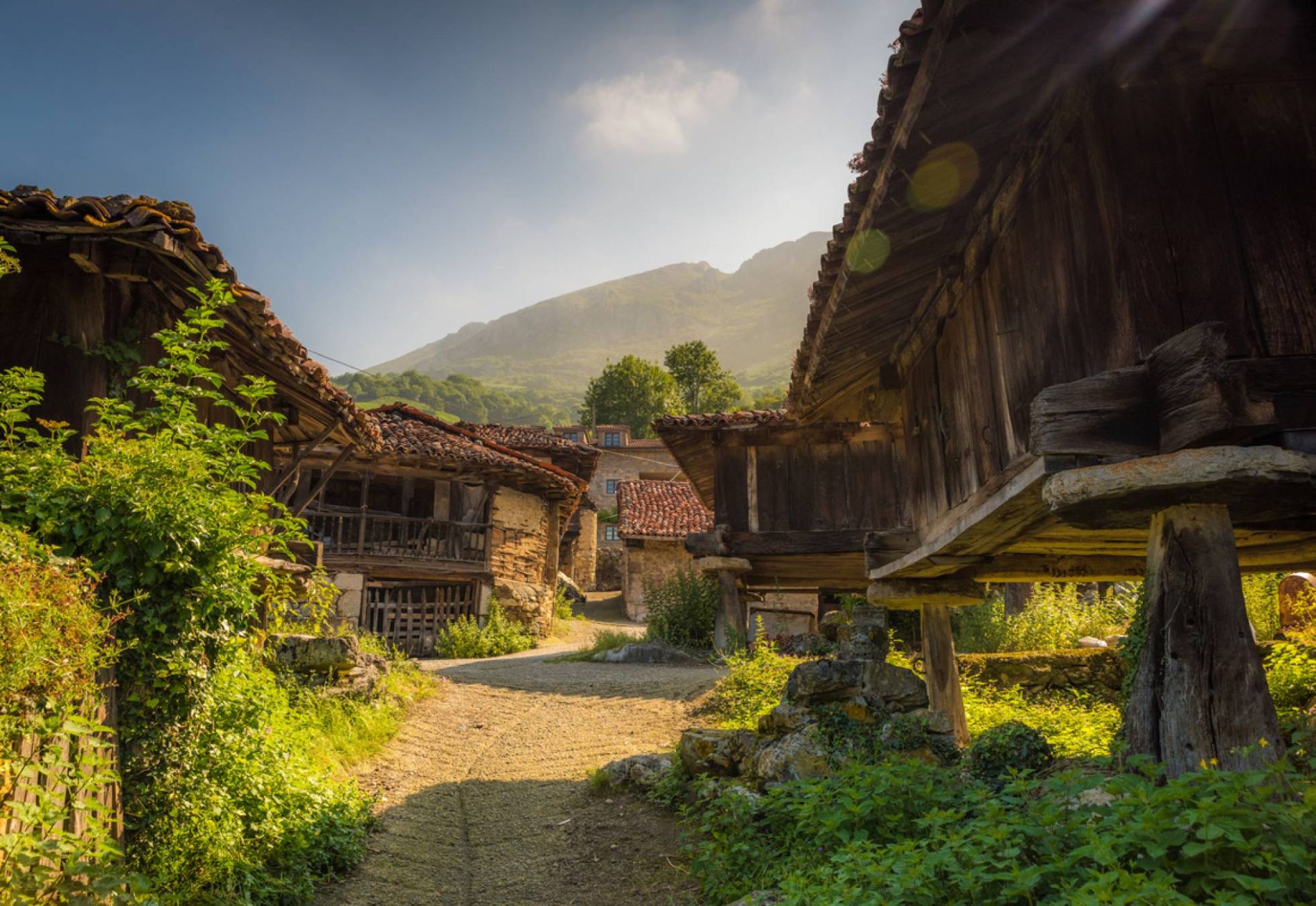 Cuidamos de su patrimonio